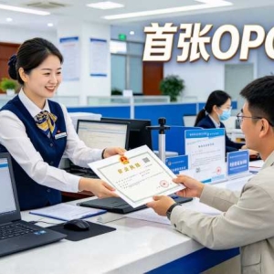 衡水发出首张"一人公司"执照：一台电脑加AI就能开公司 ...