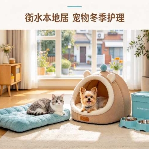 衡水猫狗过冬：宠物防寒保暖喂养